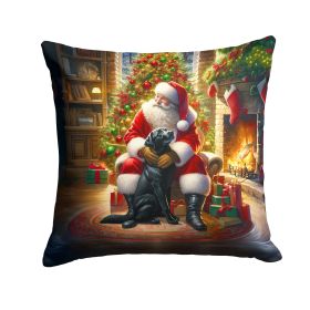 Labrador Retriever and Santa Claus Throw Pillow Machine Washable, Indoor Outdoor Decorative Pillow for Couch, Bed or Patio, 14Hx14W (Default: Default)